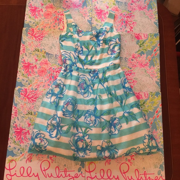 Lilly Pulitzer Posey Dress Size 2 - Picture 2 of 7
